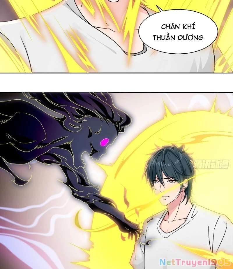 Chuyển Sinh Thành Tra Nam, Ta Giúp Thê Tử Trường Sinh Chapter 45 - 20