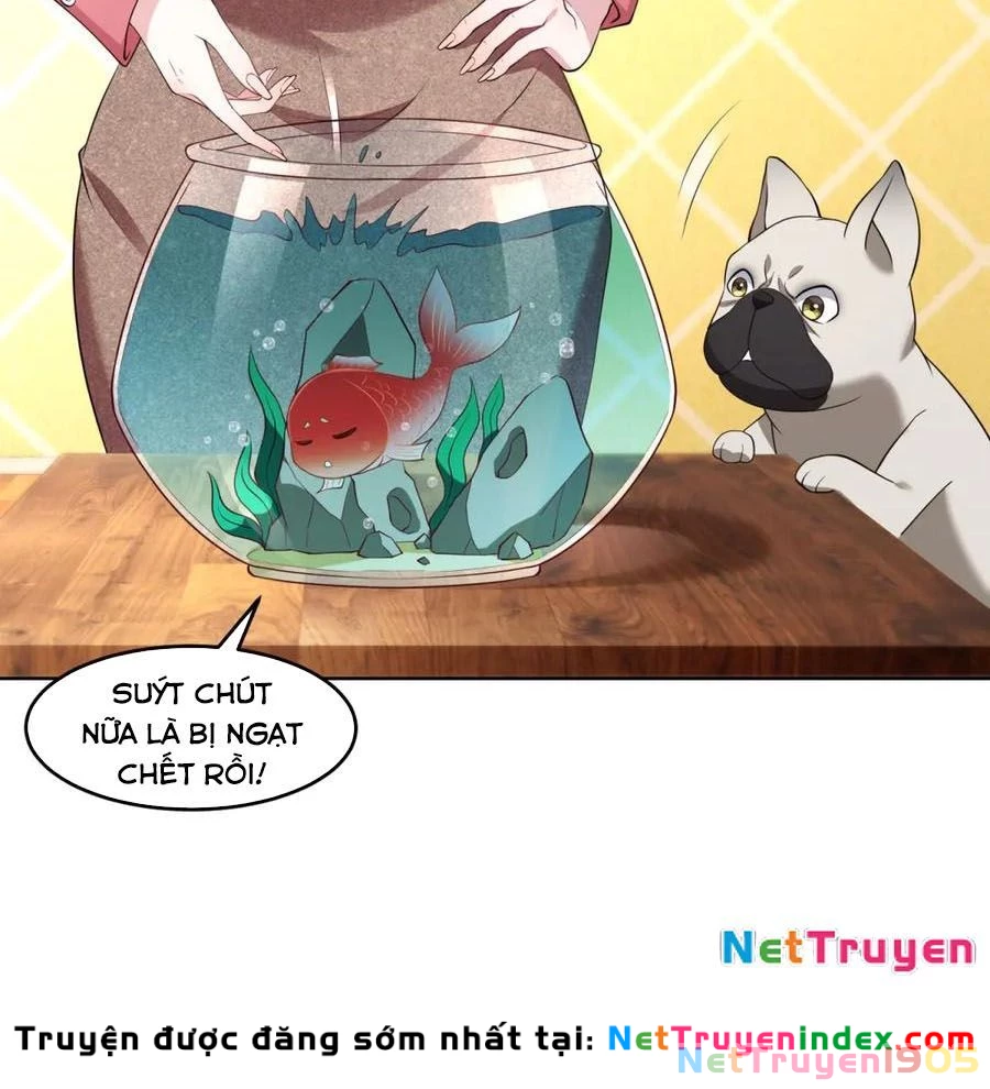 Cửa hàng sủng vật thần kỳ Chapter 19 - 11