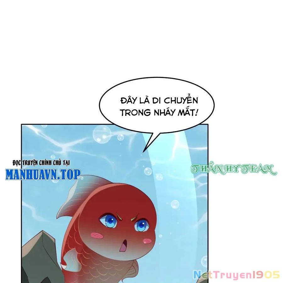 Cửa hàng sủng vật thần kỳ Chapter 19 - 12