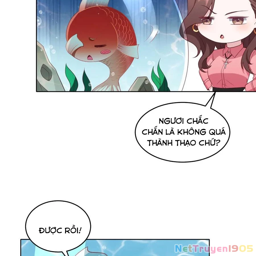 Cửa hàng sủng vật thần kỳ Chapter 19 - 14