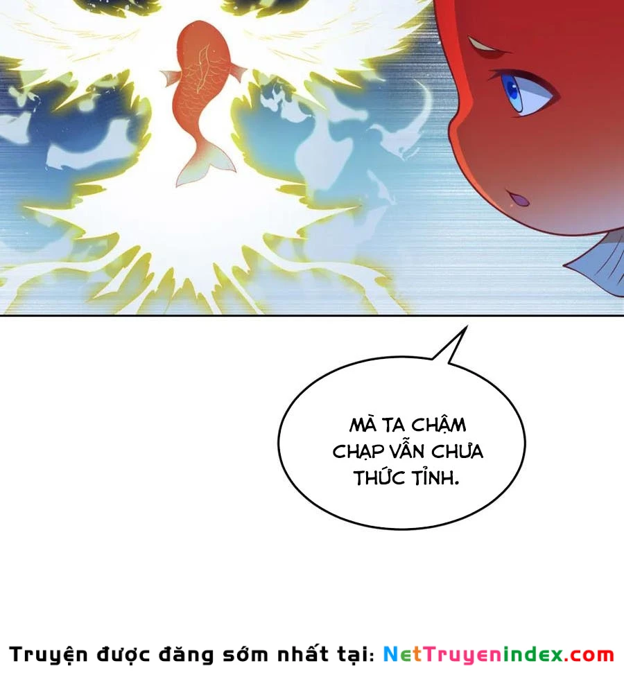 Cửa hàng sủng vật thần kỳ Chapter 19 - 17