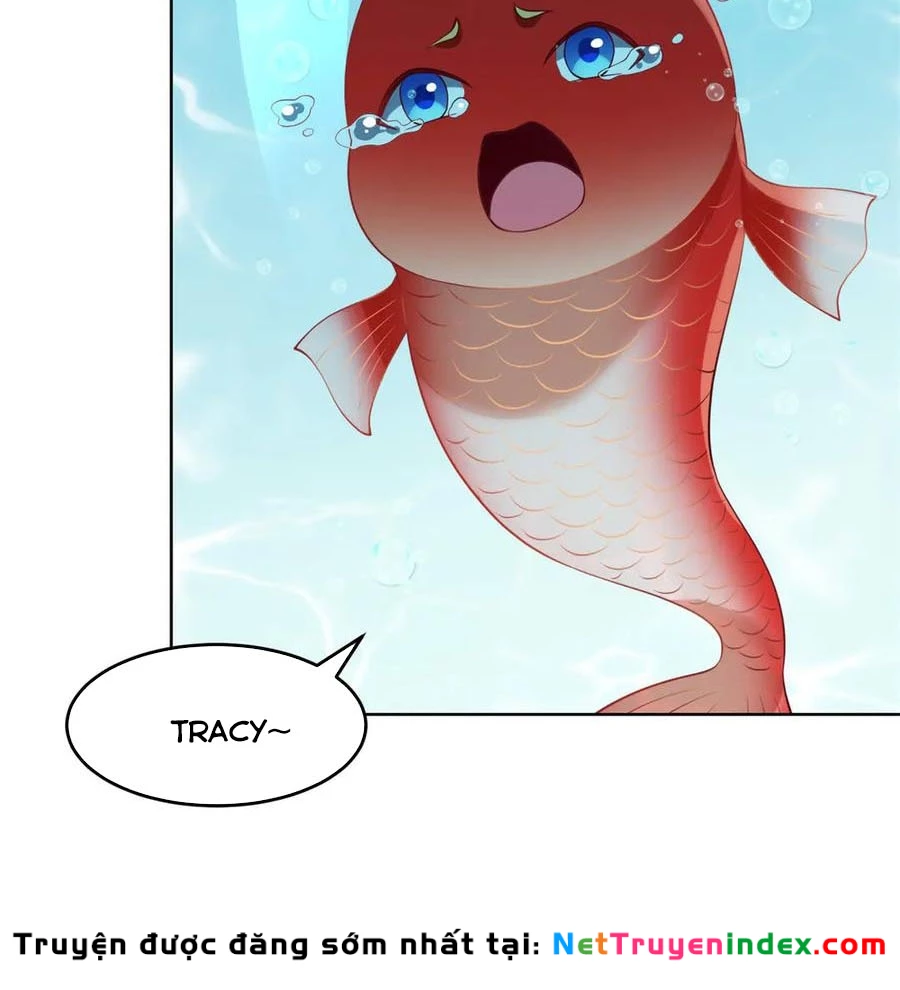 Cửa hàng sủng vật thần kỳ Chapter 19 - 27