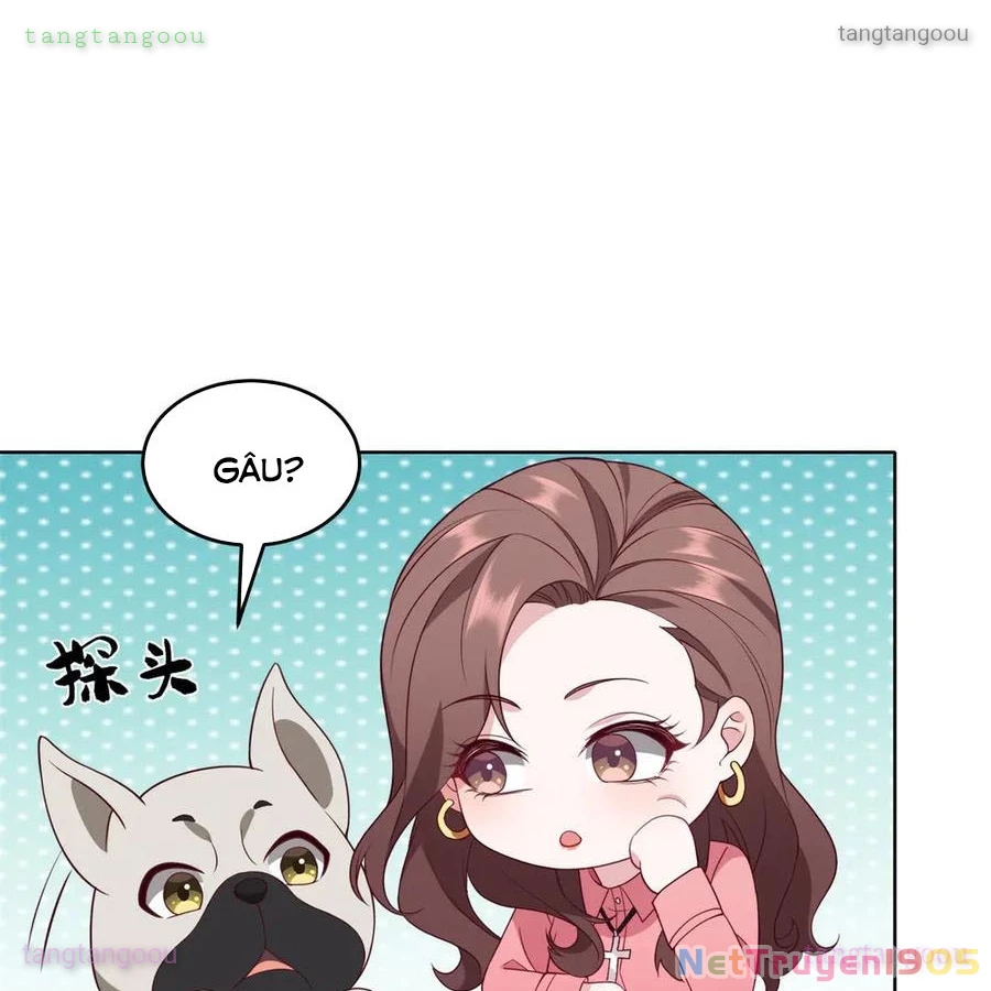 Cửa hàng sủng vật thần kỳ Chapter 19 - 28