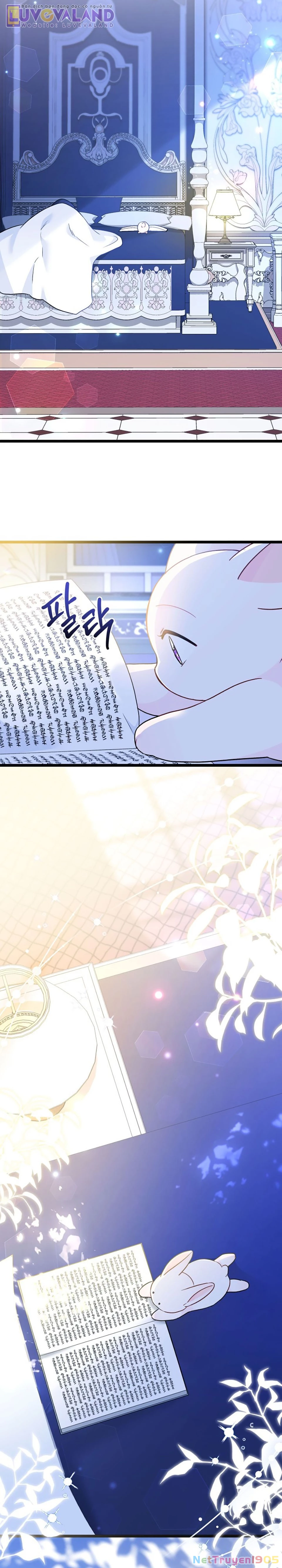 Mối Liên Kết Giữa Báo Đen Và Bé Thỏ Chapter 190 - 7