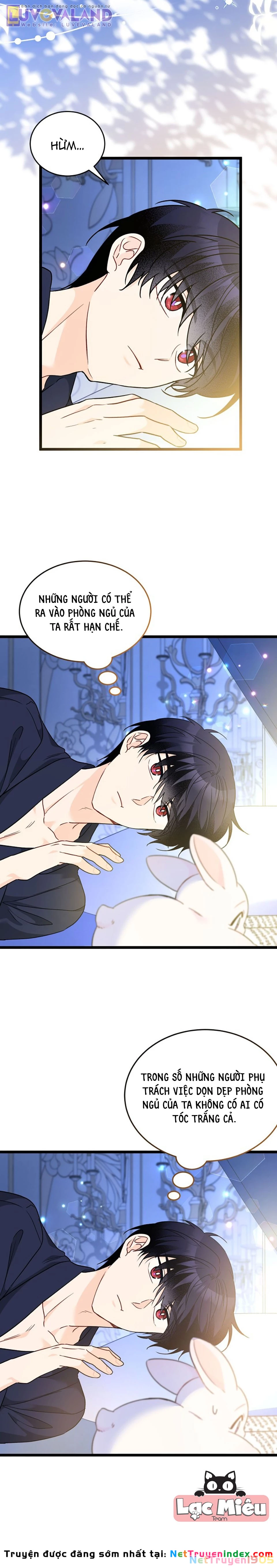 Mối Liên Kết Giữa Báo Đen Và Bé Thỏ Chapter 190 - 8