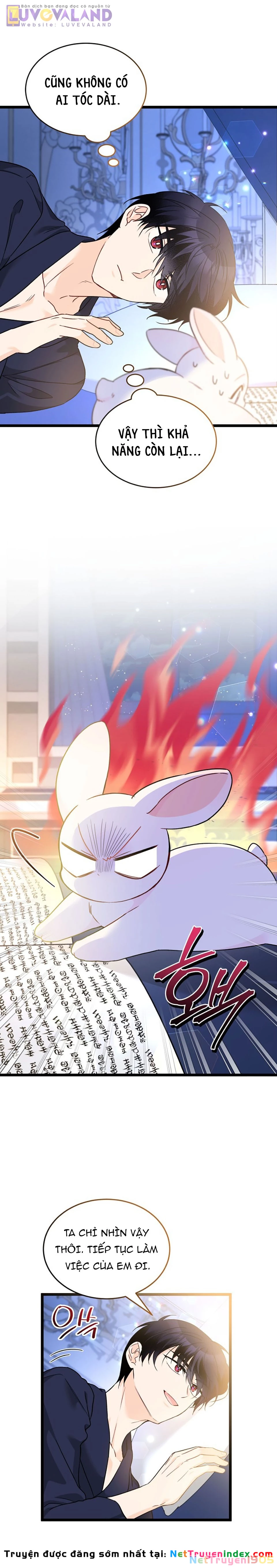 Mối Liên Kết Giữa Báo Đen Và Bé Thỏ Chapter 190 - 9