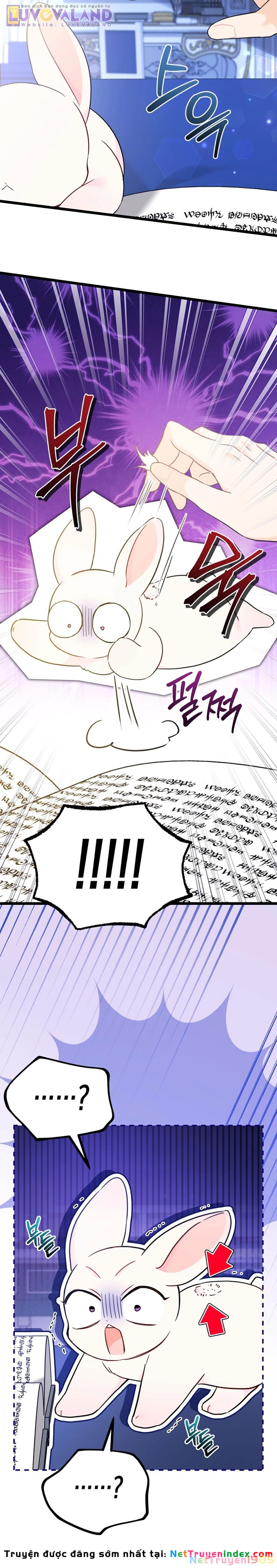 Mối Liên Kết Giữa Báo Đen Và Bé Thỏ Chapter 190 - 11