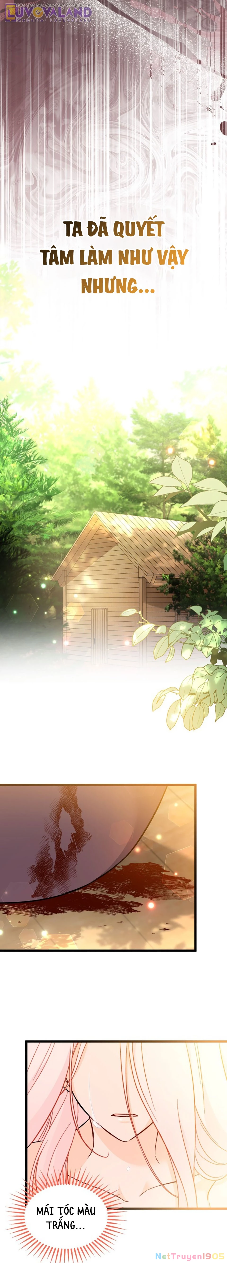 Mối Liên Kết Giữa Báo Đen Và Bé Thỏ Chapter 190 - 17