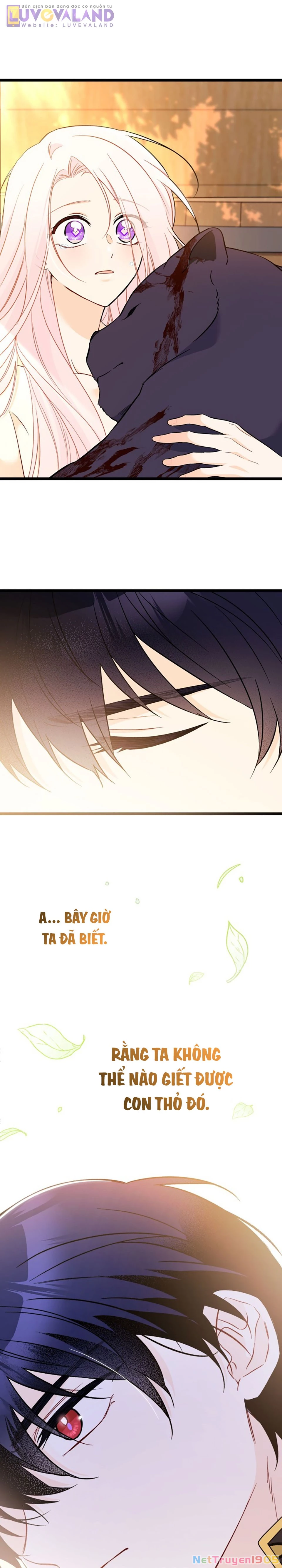 Mối Liên Kết Giữa Báo Đen Và Bé Thỏ Chapter 190 - 21
