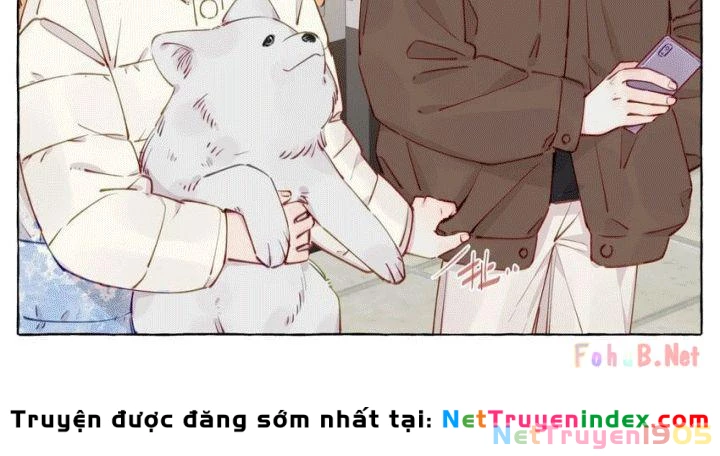 CẠM BẪY GÁI THẲNG Chapter 108 - 19