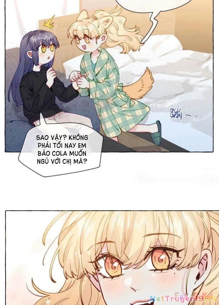 CẠM BẪY GÁI THẲNG Chapter 112 - 34