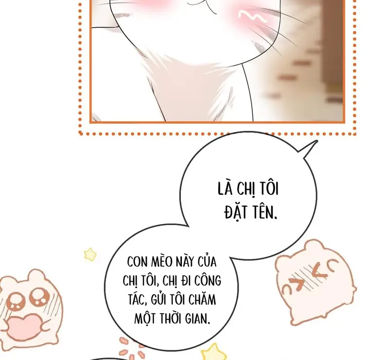 Giúp Tôi Vỗ Vỗ Chapter 27 - 72