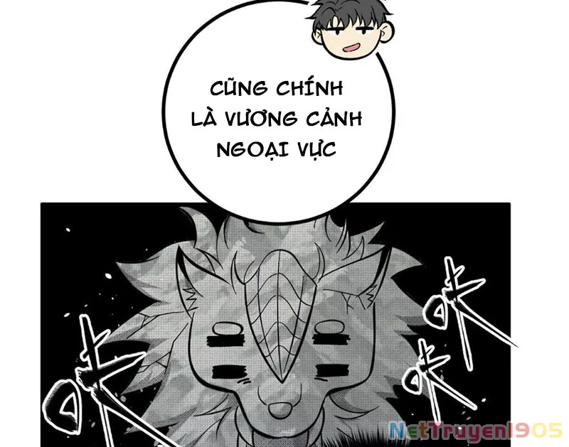 Toàn Cầu Cao Võ Chapter 331 - 30
