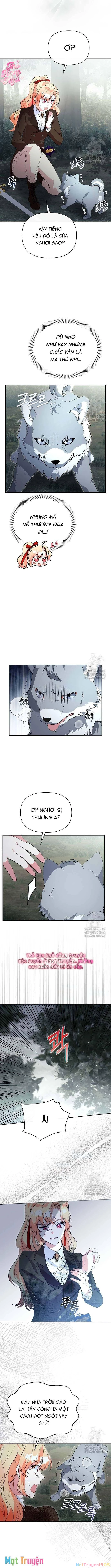 Có Nhiều Nam Chính Quá Đi! Chapter 47 - 5