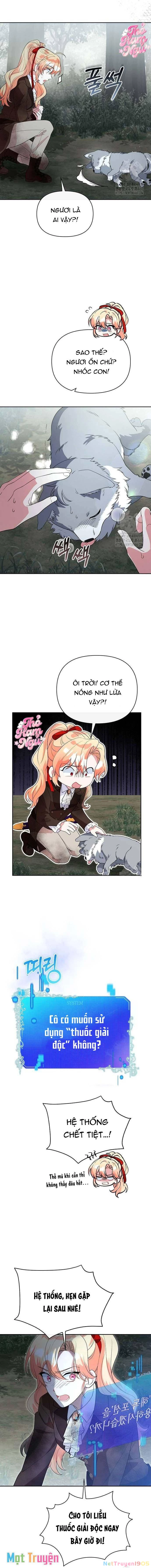 Có Nhiều Nam Chính Quá Đi! Chapter 47 - 6