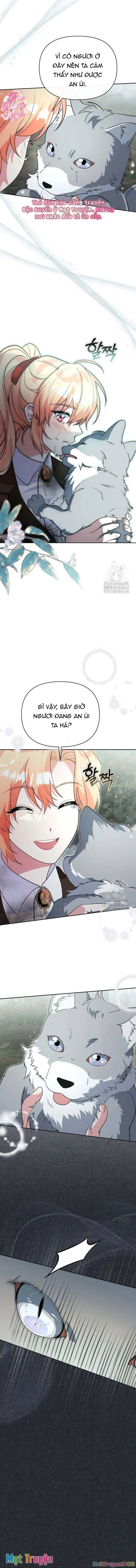 Có Nhiều Nam Chính Quá Đi! Chapter 47 - 11