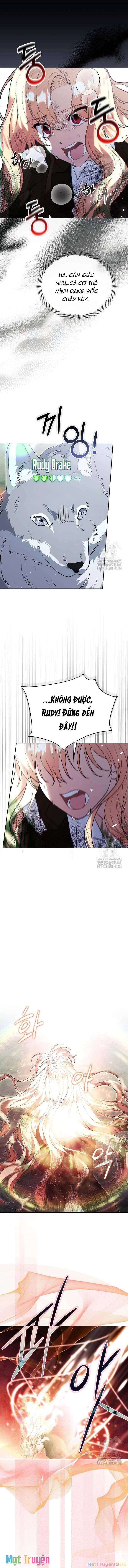 Có Nhiều Nam Chính Quá Đi! Chapter 49 - 5