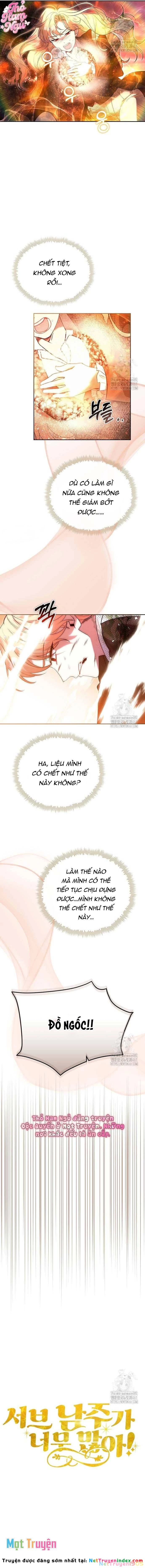 Có Nhiều Nam Chính Quá Đi! Chapter 49 - 7