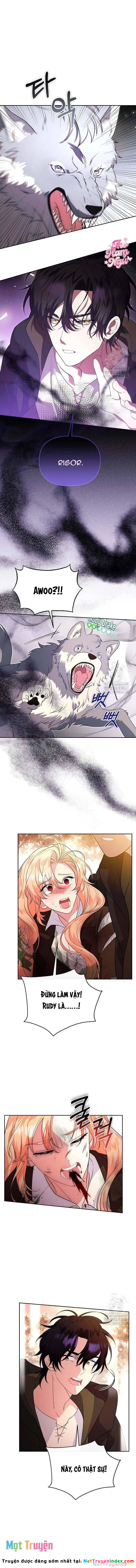 Có Nhiều Nam Chính Quá Đi! Chapter 49 - 11