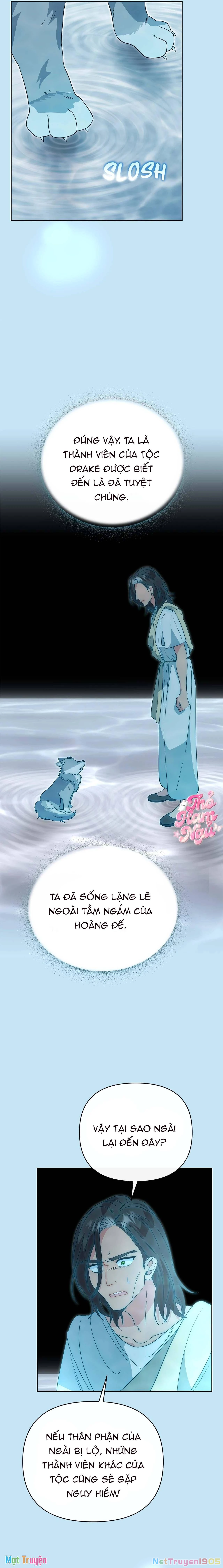 Có Nhiều Nam Chính Quá Đi! Chapter 52 - 21