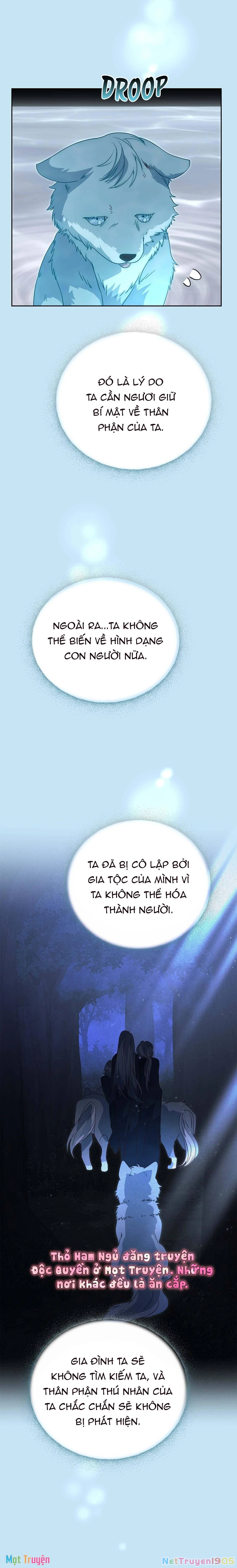 Có Nhiều Nam Chính Quá Đi! Chapter 52 - 22