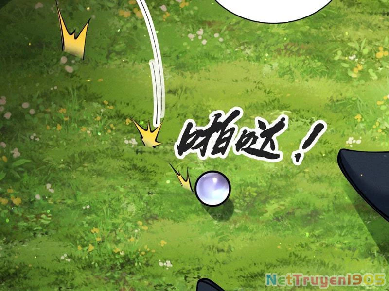 Gặp Mạnh Thì Mạnh, Ta Tu Vi Vô Thượng Hạn Chapter 81 - 13