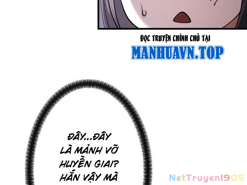 Gặp Mạnh Thì Mạnh, Ta Tu Vi Vô Thượng Hạn Chapter 81 - 33