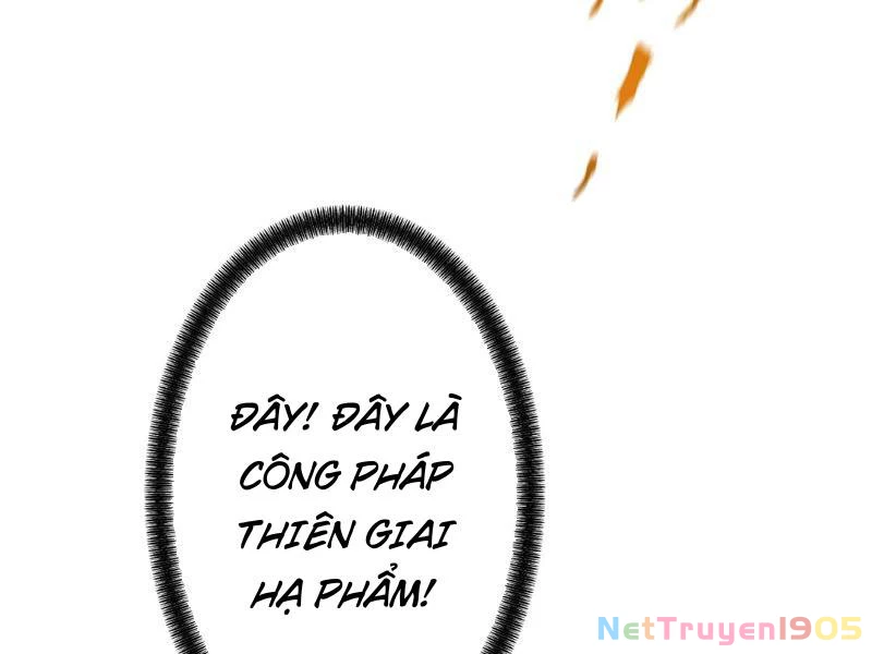 Gặp Mạnh Thì Mạnh, Ta Tu Vi Vô Thượng Hạn Chapter 81 - 73