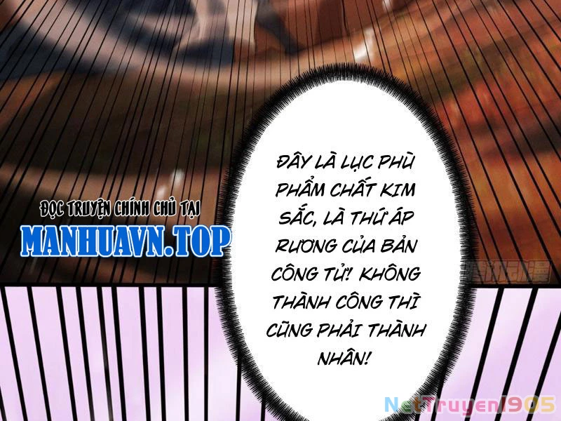 Gặp Mạnh Thì Mạnh, Ta Tu Vi Vô Thượng Hạn Chapter 81 - 117