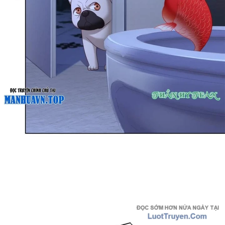Cửa hàng sủng vật thần kỳ Chapter 20 - 91
