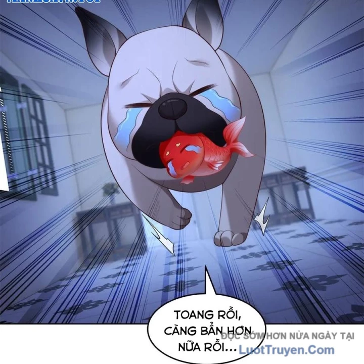 Cửa hàng sủng vật thần kỳ Chapter 20 - 95