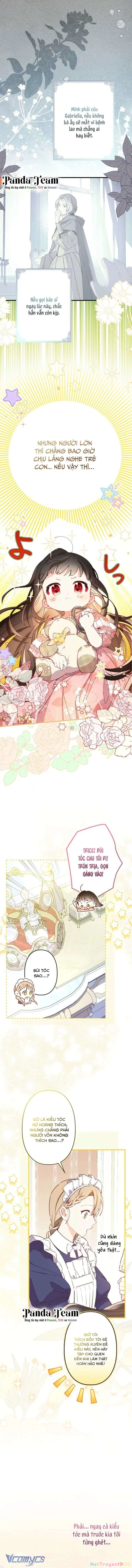 Kiếp Này Em Sẽ Không Sống Dưới Cái Bóng Của Người Chị Song Sinh Chapter 2 - 11