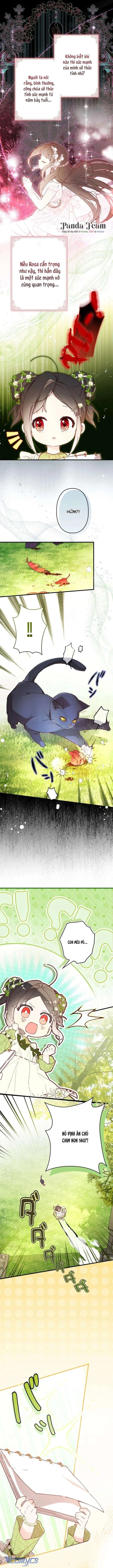 Kiếp Này Em Sẽ Không Sống Dưới Cái Bóng Của Người Chị Song Sinh Chapter 5 - 17