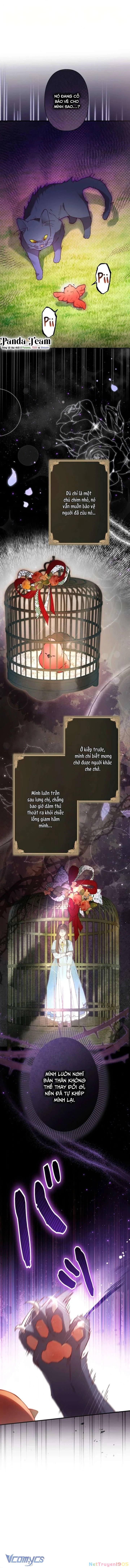 Kiếp Này Em Sẽ Không Sống Dưới Cái Bóng Của Người Chị Song Sinh Chapter 6 - 6