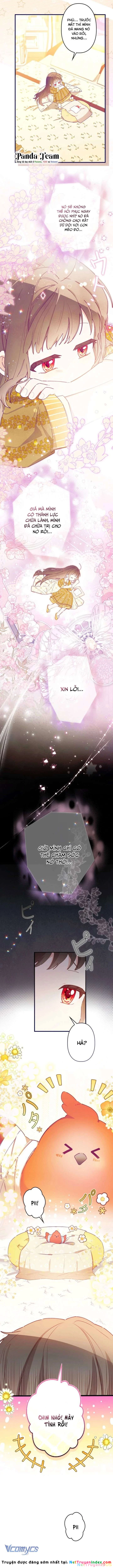 Kiếp Này Em Sẽ Không Sống Dưới Cái Bóng Của Người Chị Song Sinh Chapter 6 - 13