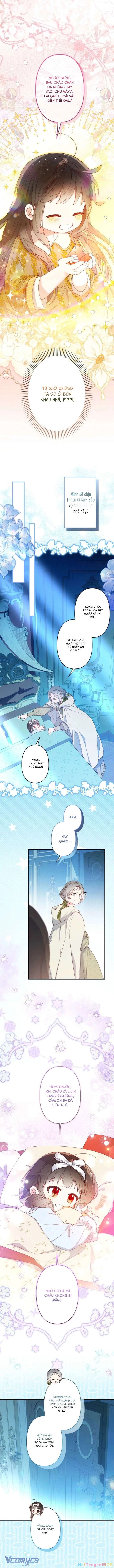 Kiếp Này Em Sẽ Không Sống Dưới Cái Bóng Của Người Chị Song Sinh Chapter 6 - 15
