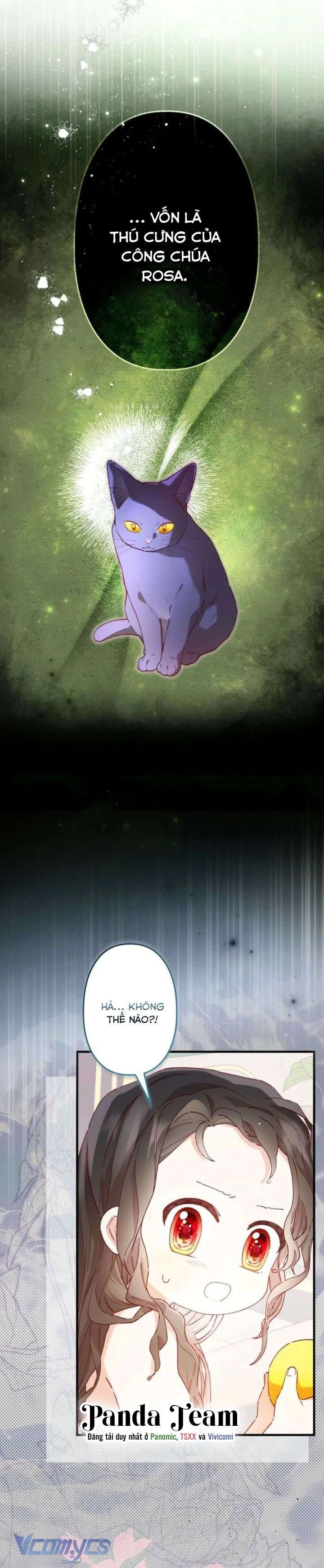 Kiếp Này Em Sẽ Không Sống Dưới Cái Bóng Của Người Chị Song Sinh Chapter 8 - 8