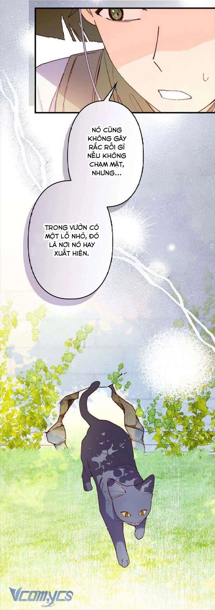 Kiếp Này Em Sẽ Không Sống Dưới Cái Bóng Của Người Chị Song Sinh Chapter 9 - 38