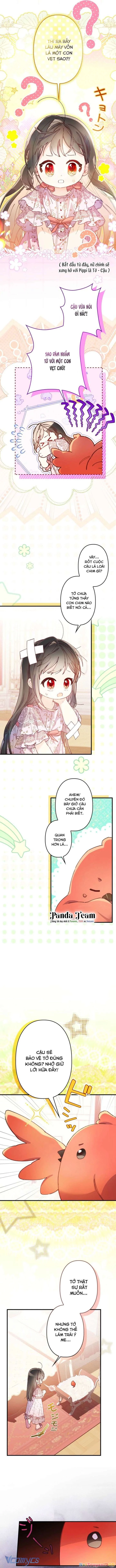 Kiếp Này Em Sẽ Không Sống Dưới Cái Bóng Của Người Chị Song Sinh Chapter 11 - 6