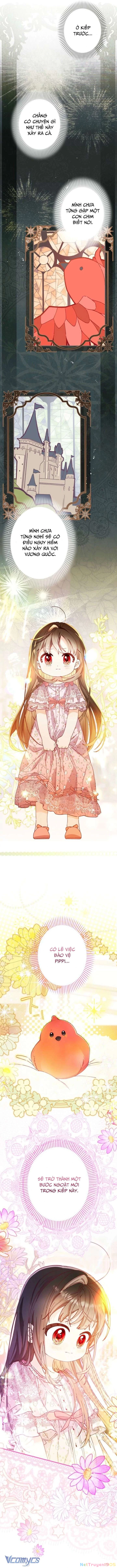 Kiếp Này Em Sẽ Không Sống Dưới Cái Bóng Của Người Chị Song Sinh Chapter 11 - 8