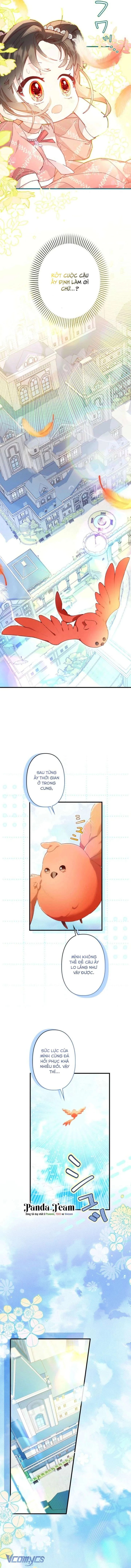 Kiếp Này Em Sẽ Không Sống Dưới Cái Bóng Của Người Chị Song Sinh Chapter 12 - 14