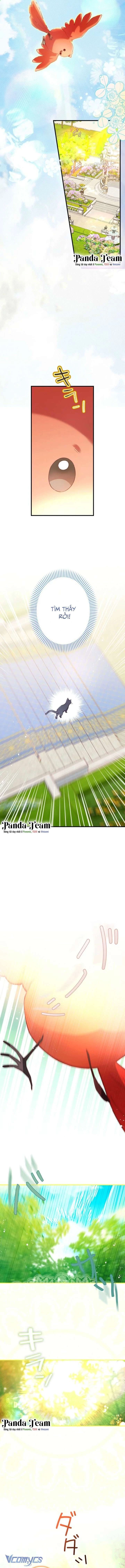 Kiếp Này Em Sẽ Không Sống Dưới Cái Bóng Của Người Chị Song Sinh Chapter 12 - 15