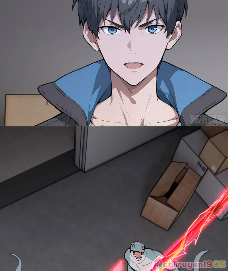 Dị Năng Trùng Sinh Ta Mang Theo Hàng Tỷ Tinh Cầu Vỡ Vụn Lập Thành Bá Nghiệp Chapter 3 - 29