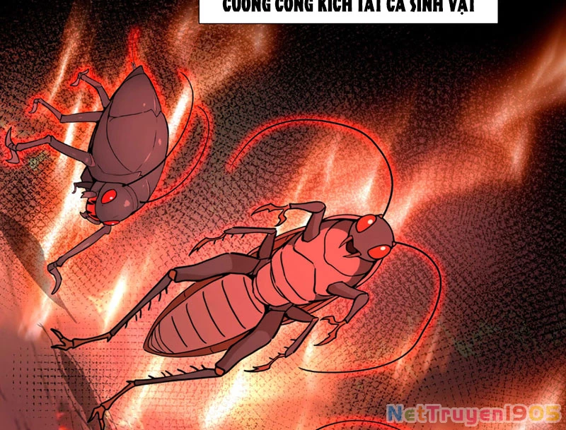 Dị Năng Trùng Sinh Ta Mang Theo Hàng Tỷ Tinh Cầu Vỡ Vụn Lập Thành Bá Nghiệp Chapter 1 - 95