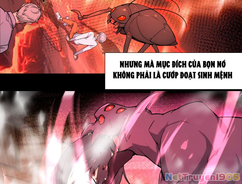 Dị Năng Trùng Sinh Ta Mang Theo Hàng Tỷ Tinh Cầu Vỡ Vụn Lập Thành Bá Nghiệp Chapter 1 - 96