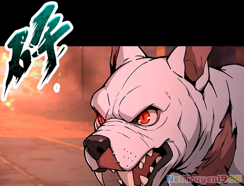 Dị Năng Trùng Sinh Ta Mang Theo Hàng Tỷ Tinh Cầu Vỡ Vụn Lập Thành Bá Nghiệp Chapter 1 - 152