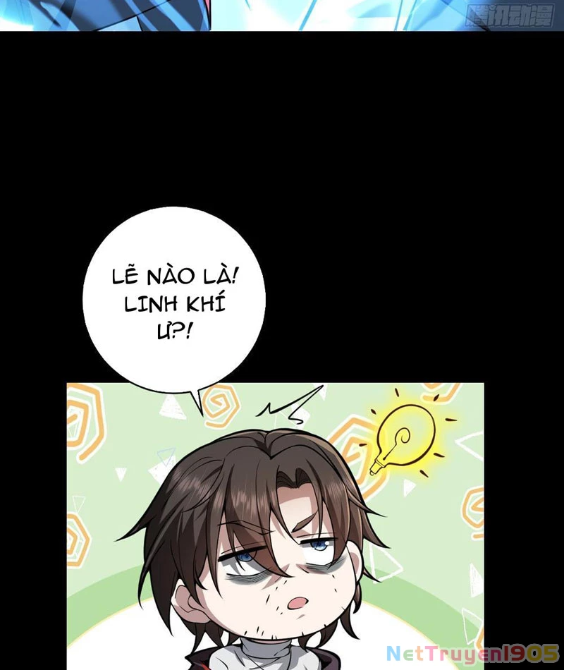 Người Khác Luyện Cấp Ta Tu Tiên, Tới Đại Thừa Kỳ Thì Rời Núi Chapter 3 - 35