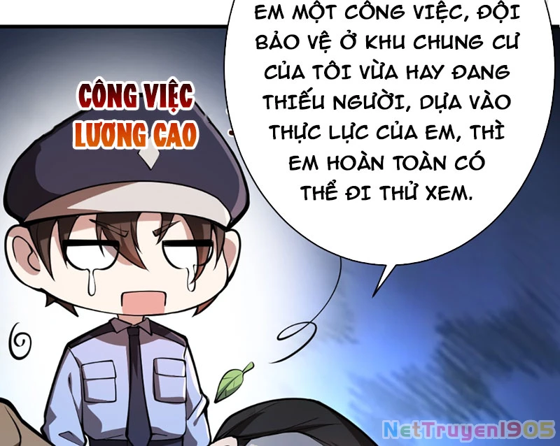 Người Khác Luyện Cấp Ta Tu Tiên, Tới Đại Thừa Kỳ Thì Rời Núi Chapter 5 - 12