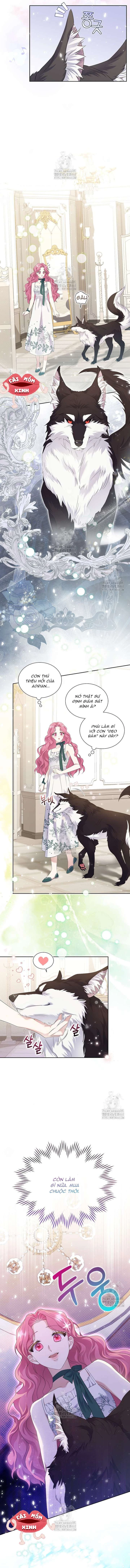 Khi Bị Nam Chính Dịu Dàng Nhưng Cố Chấp Ám Ảnh Chapter 3 - 8