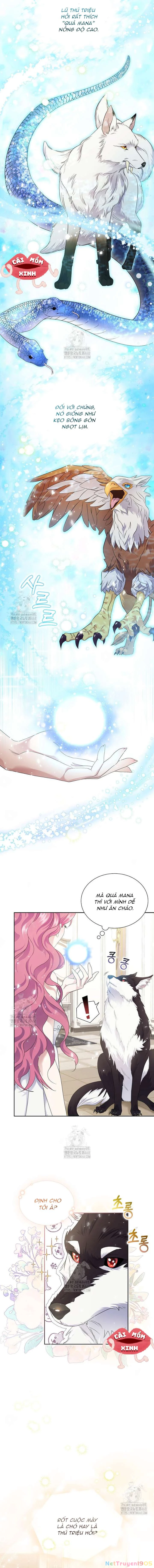 Khi Bị Nam Chính Dịu Dàng Nhưng Cố Chấp Ám Ảnh Chapter 3 - 9